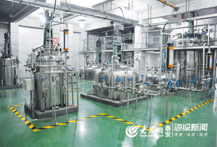 泰山區(qū)全方位構建醫(yī)養(yǎng)結合服務模式