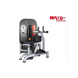 籃球架-廣東勁道康體設施-籃球架工程