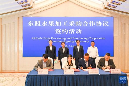 渝西新機遇 東盟水果加工分撥中心落戶永川，賦能區(qū)域旅游新篇章